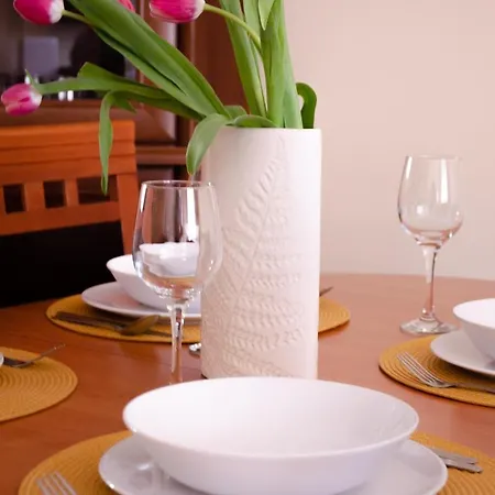 Apartment Apartament Deluxe Arcon Double Siemianowice Śląskie