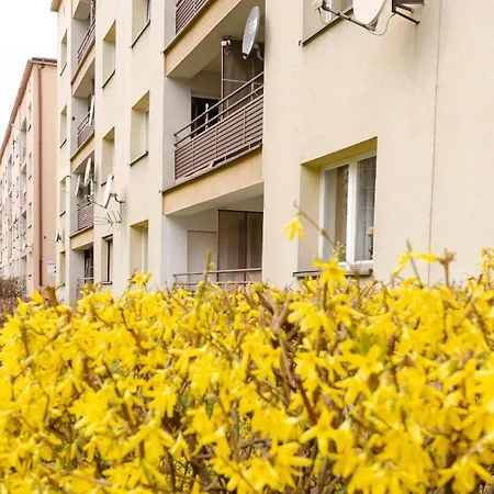 Apartment Apartament Deluxe Arcon Double Siemianowice Slaskie